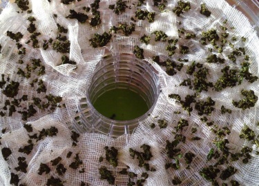 Как сушить иван-чай на плите, в духовке и с помощью других методов. Технология сушки кипрея без ферментации.
