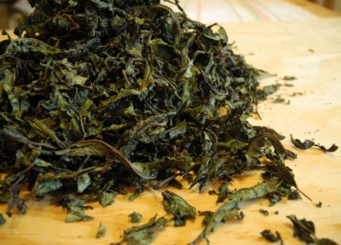 Какими отличительными чертами обладает зеленый иван-чай. Как правильно заваривать подобную разновидность кипрея.
