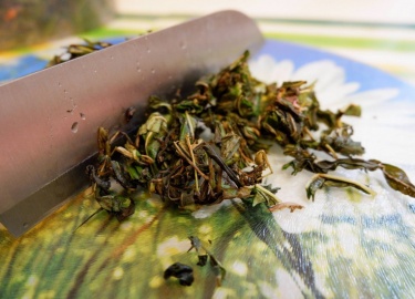 В какое время требуется собирать кипрей узколистный. Технология заготовки иван-чая на зиму. Особенности сушки растения.
