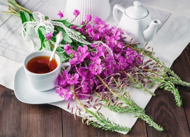 В чем заключаются польза и вред иван-чая. Полезные свойства для женского и мужского организма. Вредное действие напитка.
