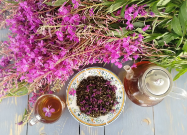 В чем состоит польза цветков иван-чая для организма человека. Как копорский чай помогает справиться с различными болезнями.
