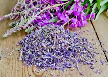 Какие этапы включает в себя заготовка иван-чая. Каким образом проводится сортировка, завяливание и скручивание листьев.
