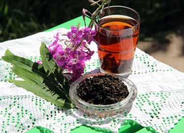 С какими травами можно заваривать иван-чай. Классические рецепты заваривания кипрея с мятой, чабрецом и душицей.
