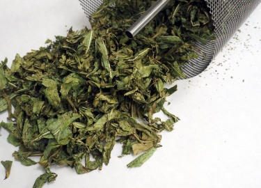 Какими отличительными чертами обладает зеленый иван-чай. Как правильно заваривать подобную разновидность кипрея.
